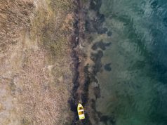 Sapanca Gölü Kıyılarında Sıkı Denetim: “Tahribata İzin Verilmeyecek”