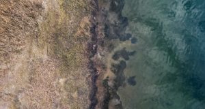 Sapanca Gölü Kıyılarında Sıkı Denetim: “Tahribata İzin Verilmeyecek”