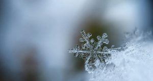 Valilik duyurdu: Ağrı Kar Yağışı, Buzlanma ve Çığ Uyarısı