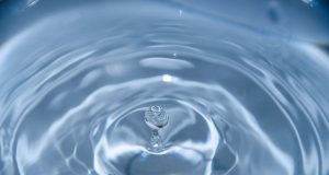 Sapanca Gölü İçin Dev Kalkan! 118 KM’lik Koruma Hattı, 1 Milyar TL’lik Proje Hazırlanıyor